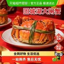 88VIP会员、今日必买：渔传播 固城湖大闸蟹8只 (2.3-2.5母 4只+3.3-3.5公 4只)
