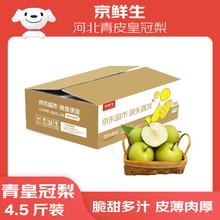 京鲜生 河北青皮皇冠梨 净重5斤 单果250g+ 新鲜水果 源头直发 包邮