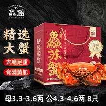 鱻谣 XIAN YAO 大闸蟹 公蟹4.3两 母蟹3.3两 8只 去绳足重 死蟹包赔