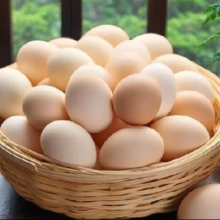 谷物鲜鸡蛋 农户散养新鲜鸡蛋 单枚50g±5 12枚（50克/枚）3.9元(需领券)