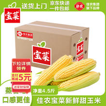 佳农 云南金银水果玉米甜玉米鲜玉米现摘嫩玉米香甜多汁5斤装源头直发 鲜水果玉米 5斤