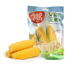 东北黄糯玉米 单棒均重＞180g  3棒