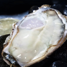 山东产区！鲜京采 鲜活生蚝  净重5斤 3XL 13-18只装￥29.90 比上一次爆料降低 ￥10