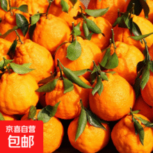 正宗不知火丑橘 带箱5斤10.99元(需领券)