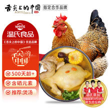 今日必买：温氏 供港老母鸡 1.4kg
