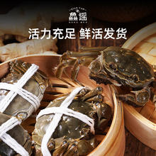 今日必买：鱻谣 XIAN YAO 红标 大闸蟹 公蟹225-240g+母蟹175-190g 8只 礼盒装