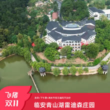【25双11】临安青山湖雷迪森庄园3天2晚连住含双早+下午茶1份