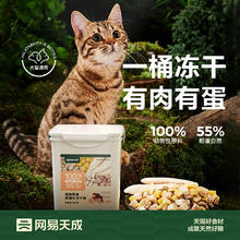 淘金币可用：网易严选 五拼冻干桶500g