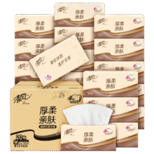Breeze/清风 原木经典120抽 3层XS码 抽纸 20包*2件