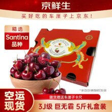 PLUS会员: 京鲜生 智利空运Santina车厘子巨无霸3J级5斤礼盒果径约30-32mm 送卡尺298元