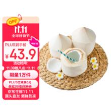 今日必买：京鲜生 泰国进口椰青 9个原箱装 大果 单果900g+ 送开椰器（低至4.07元/个）券后36.65元