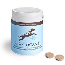 GlaxtoCane 德国 宠物关节片 120片399.4元