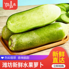 佑嘉木（BlessedWood）山东特产水果萝卜 净重4.5斤3-7个