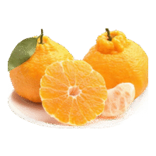 头茬新鲜云南高山丑橘酸甜可口新鲜橘子整箱包邮 带箱8斤装14.98元