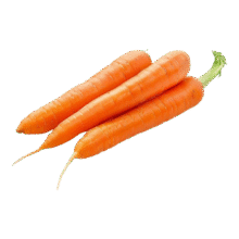 躬耕坊新鲜现挖农家自种沙土地脆爽可生吃红萝卜胡萝卜 5斤装11.9元 (满15减4,券后省5)