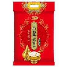 十月稻田东北稻香米新鲜一年一季真空装大米粳米