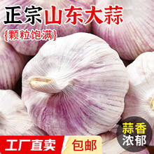 有券的上：京喜 山东大蒜 多瓣蒜头 1斤 果径≥3.5cm