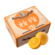 褚橙 云南冰糖橙  珍品果 XXL 10斤装 单果约200g起 生鲜水果礼盒188元 (券后省10,月销4000+)