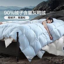国家补贴：富安娜 酷丝棉 90%灰鸭绒羽绒被芯 四季被春秋被 600g填充 203*229cm
