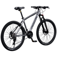 双11、plus:飞鸽（FLYING PIGEON）禧玛诺山地自行车 战神2代-禧玛诺21速-灰色 26英寸(适合身高160-185cm)633元(需领券)