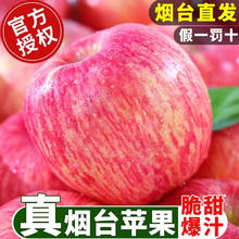 今日必买：桃尝乐 正宗红富士苹果 净重4.5斤 75-80mm券后19.9元