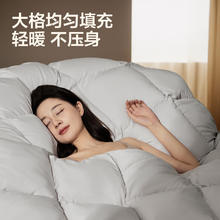 网易严选 中国大鹅羽绒被 鹅绒被 冬被 150*200cm（赠羽丝绒枕一对）