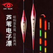 黄金眼芦苇感应变色电子鱼漂咬钩变色日夜两用夜光浮漂 黄金眼芦苇变色电子漂BL-01 1号一支100元 (券后省10)