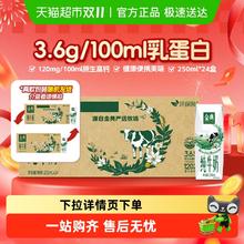 今日必买：金典 伊利金典纯牛奶250ml*24盒整箱3.6g蛋白学生家庭早餐囤货环保装