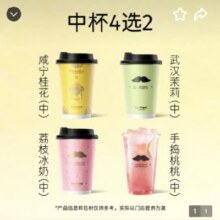 京东外卖 爷爷不泡茶 随心中杯四选二