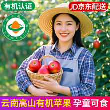 京地达 云南高山有机苹果新鲜净重15斤80-90mm红富士水果源头直发包邮