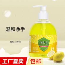 洗手液抑菌去污清洁洗手液成人儿童通用【款式香味随机发货】 瓶装500ml*1瓶3.8元 (月销3000+)