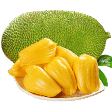 禧友鲜 海南菠萝蜜整个黄肉干苞新鲜水果当季大树木波罗蜜顺丰包邮可选 45-50斤|超稀缺大果218元 (券后省30)