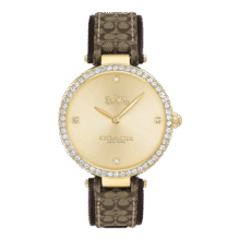 蔻驰（COACH）PARK系列C标压纹皮表带34mm 石英女表 14503456 礼物/送礼2019元 (券后省40)