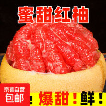 再降价：福建平和琯溪红心蜜柚爆甜多汁现摘新鲜水果1-1.6斤 红心蜜柚单果1-1.6斤 1粒装