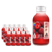味动力益生菌杨梅汁添加NFC东魁杨梅汁0脂果味饮料300ml*15瓶 整箱送礼