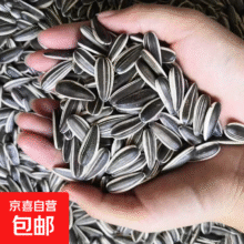 新货现炒熟瓜子大颗粒净重 1斤