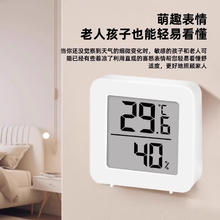 迷你温湿度计 1个