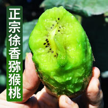 今日必买：肴池 猕猴桃 单果70-90g 30枚