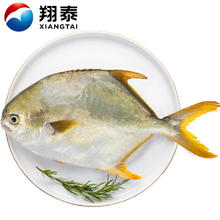 京东PLUS：翔泰 海南大规格金鲳鱼550g1条 海鱼 生鲜鱼类 火锅 海鲜水产