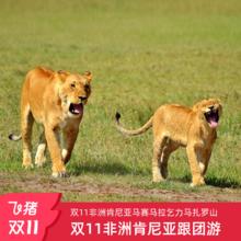 全国联运非洲肯尼亚跟团10日游马赛马拉动物大迁徙乞力马扎罗山