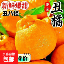 现摘高山丑橘 当季新鲜时令水果 薄皮多汁橘子 带箱3斤装4.9元（需领券）