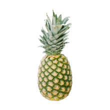 京觅 海南金钻凤梨 净重3斤单果650g 源头直发 预计11.15日发货14.9元