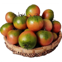 山野 草莓柿子 丹东特产 2粒小果尝鲜装0.01元（需领券）