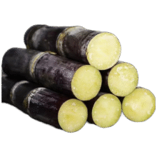 再降价：京鲜生 广西黑皮甘蔗 净重5斤装 脆甜多汁 生鲜水果 源头直发包邮11.9元(需领券)