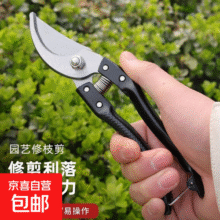 办公宿舍家庭用品 sk5园艺剪