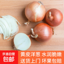 新鲜黄洋葱便宜大个葱头超市生鲜批发沙拉生甜直播间 黄洋葱 2斤