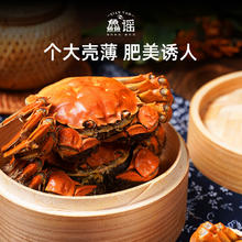 鱻谣 XIAN YAO 大闸蟹全母2.8-3.1两4对8只去绳足重鲜活螃蟹