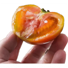 盘锦铁皮草莓柿子碱地柿子-山野 250g品尝装2元(需领券)