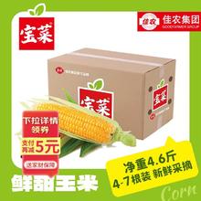 有券的上：佳农 宝菜山东新鲜水果玉米现摘鲜甜多汁5-6根净重4.5斤源头直发
