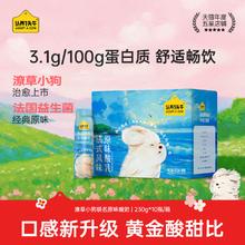 认养一头牛 潦草小狗 原味高端酸奶230ml＊10瓶